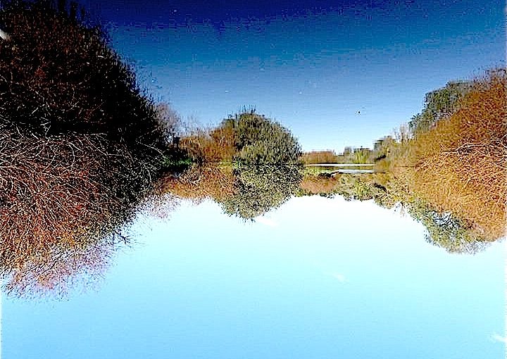 Un coin de ciel bleu